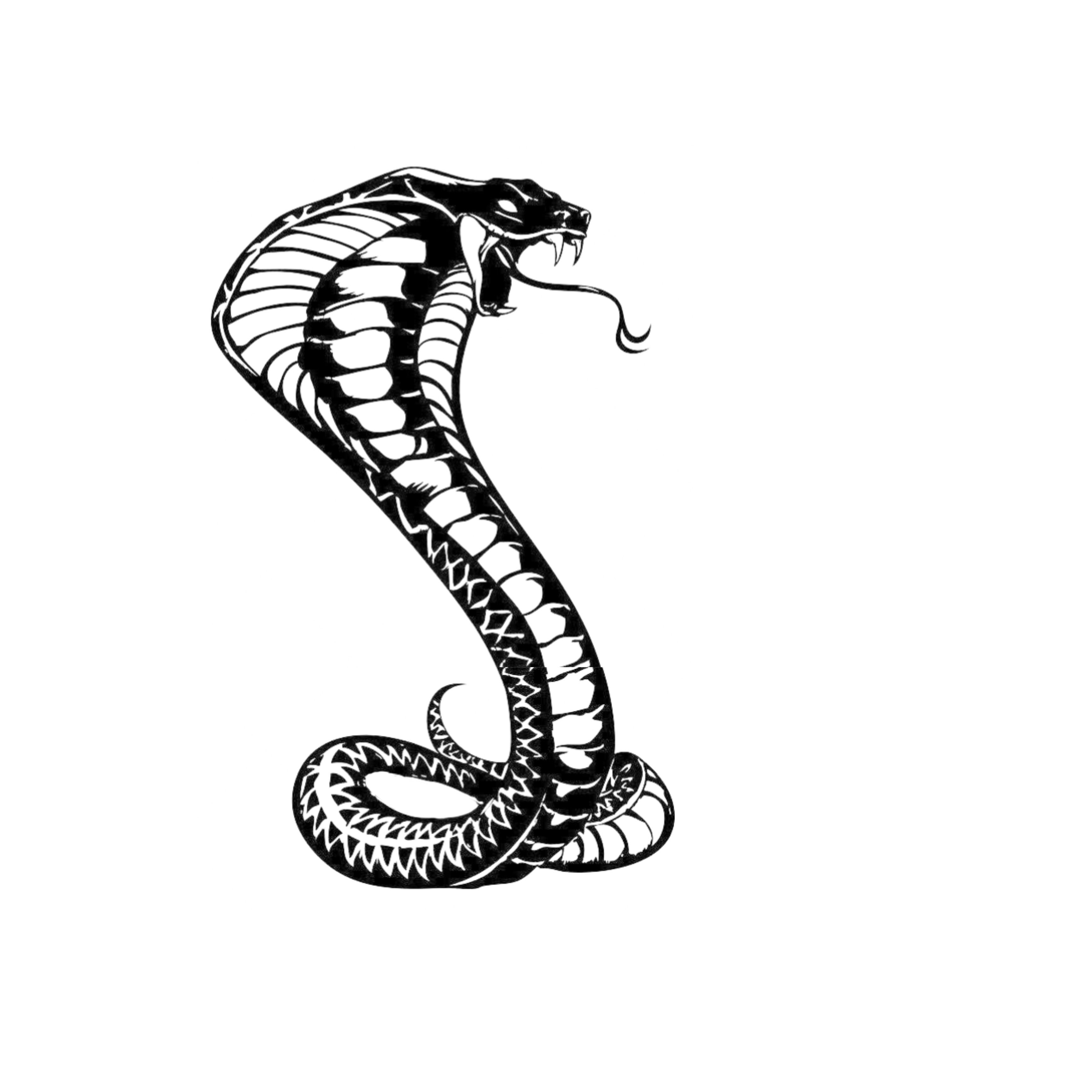 Cool Snake Tattoo Design cool-snake-tattoo-design