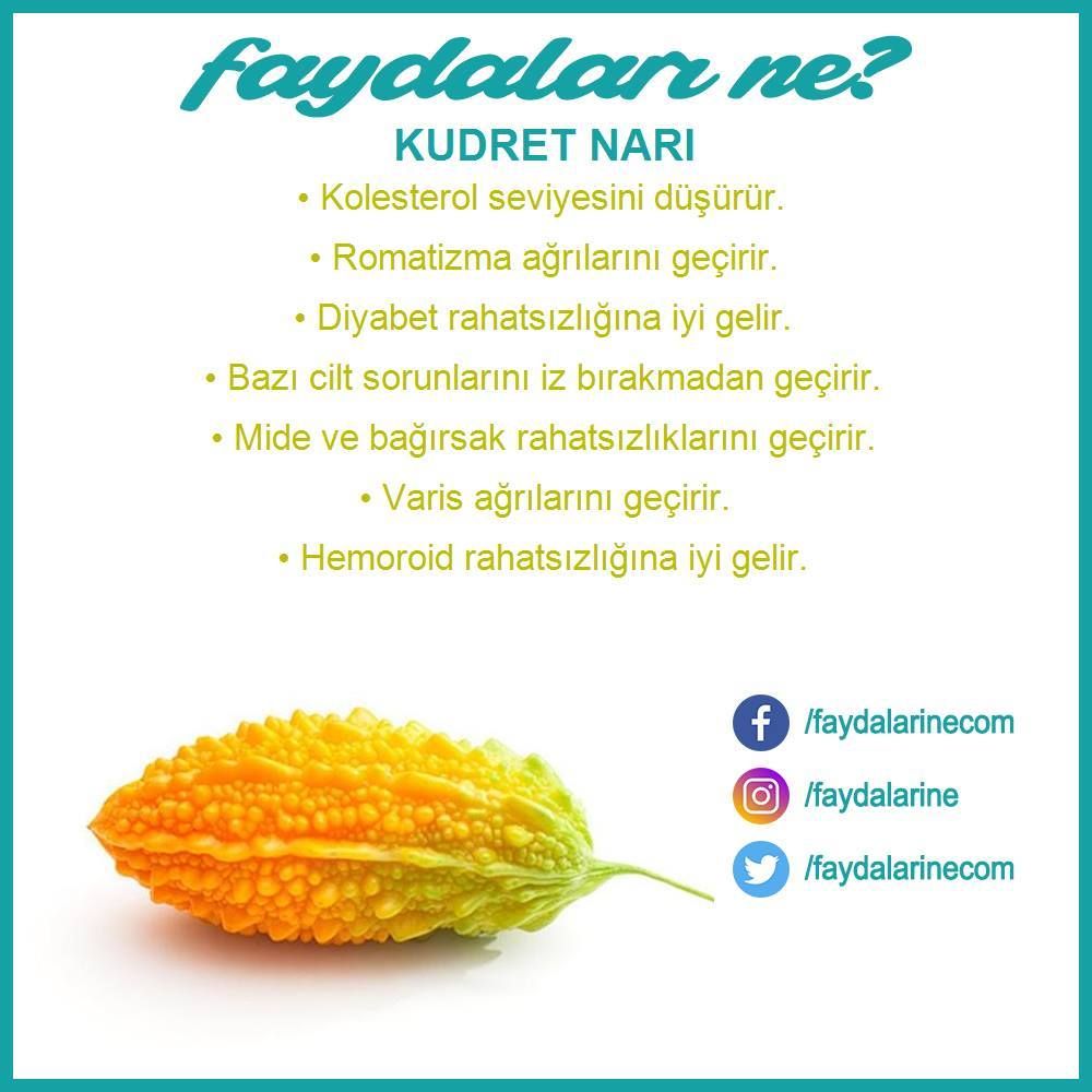 Kudret narının faydaları Kudret narının faydaları