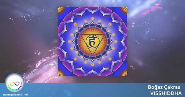 Bogaz Cakra Visshiddha Cakralar Cekim Yasasi Meditasyon Bogaz Cakra Visshiddha Cakralar Cekim Yasasi Meditasyon