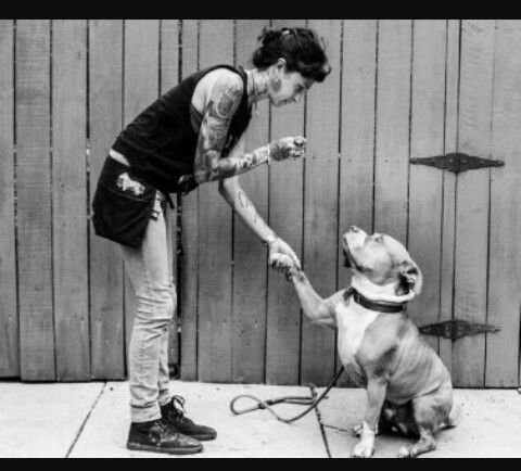 Cute Mariah Has Tons Of Tats Villalobos Rescue Center Baby