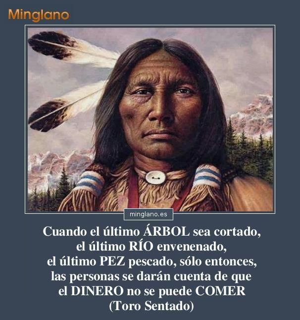 Frases Para Proteger El Planeta Frases Nativas Frases De Nativos Americanos Proverbios Indios