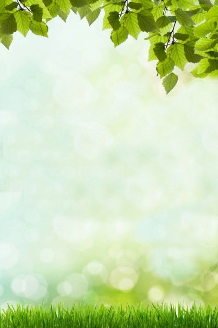 All You Need To Make Your Own Easter Cards Page Borders All You Need To Make Your Own Easter Cards Page Borders