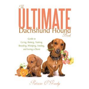 The Ultimate Dachshund Hound Book Guide To Caring Raising