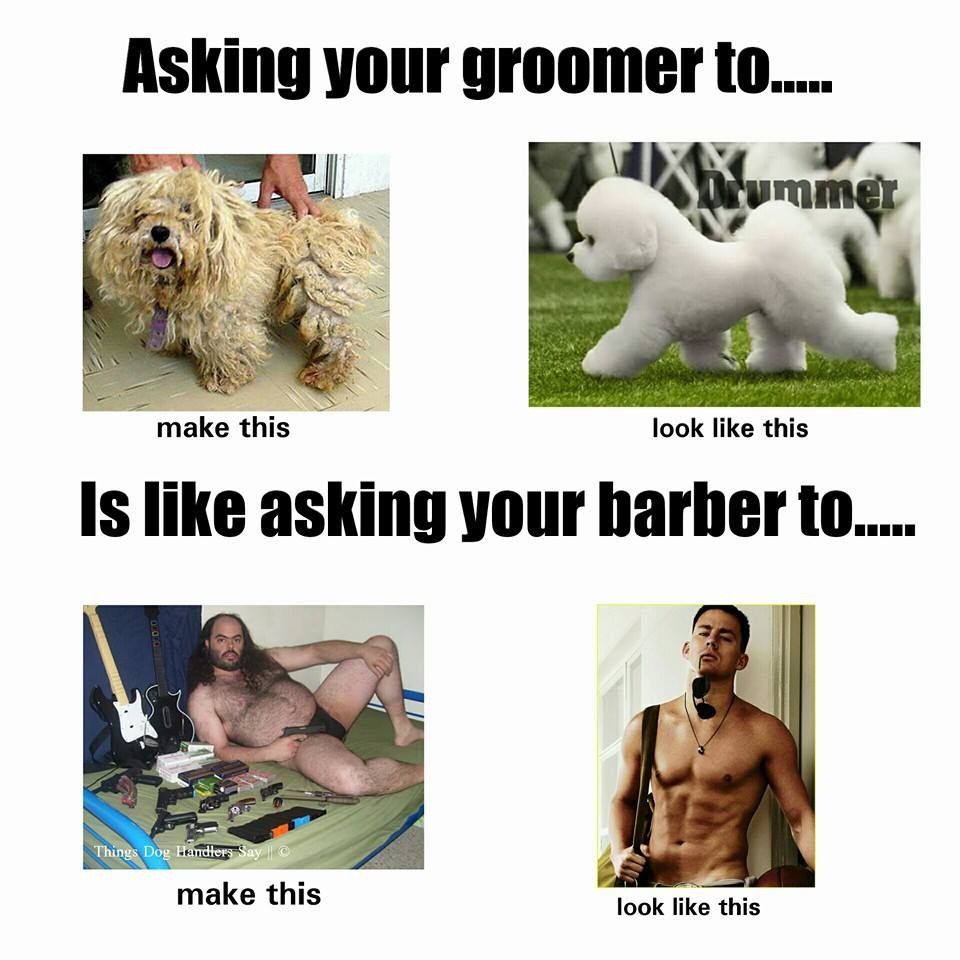 Pin By Dana Horne On Dog Grooming Dog Grooming Business Dog