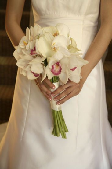 Orchid Wedding Bouquets Orchid Wedding Bouquets