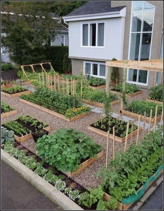 Pin By Life Is On Gardening Vegetable Garden Design Backyard