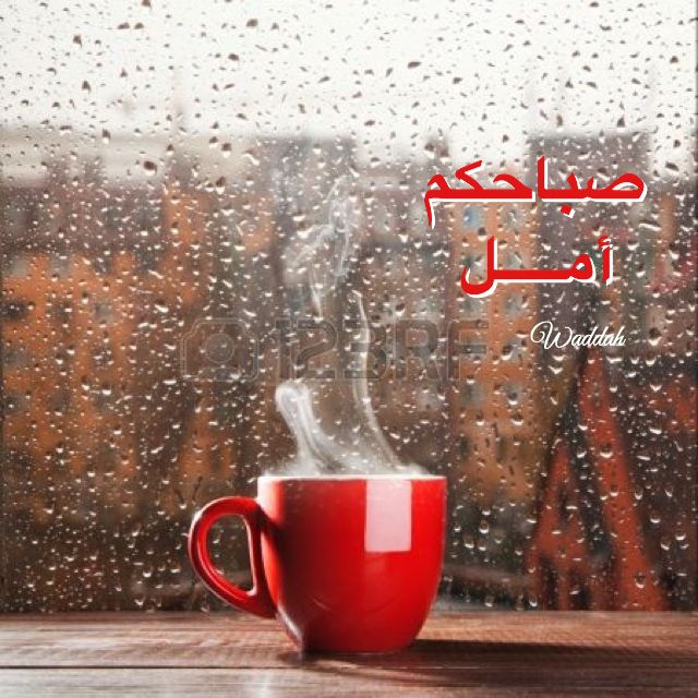 احب الشتاء وانتظر سقوط المطر فعندما تمطر السماء يمطر معها اﻻمل صباحكم تفاؤل وأمل أحبتي وأصدقائي Rain And Coffee Rainy Days Rainy Day Photography