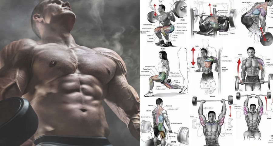 1 rep max calculator bodybuilding 1 rep max calculator bodybuilding