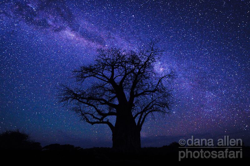 African night sky Dana Allen. It's so beautiful. African skies