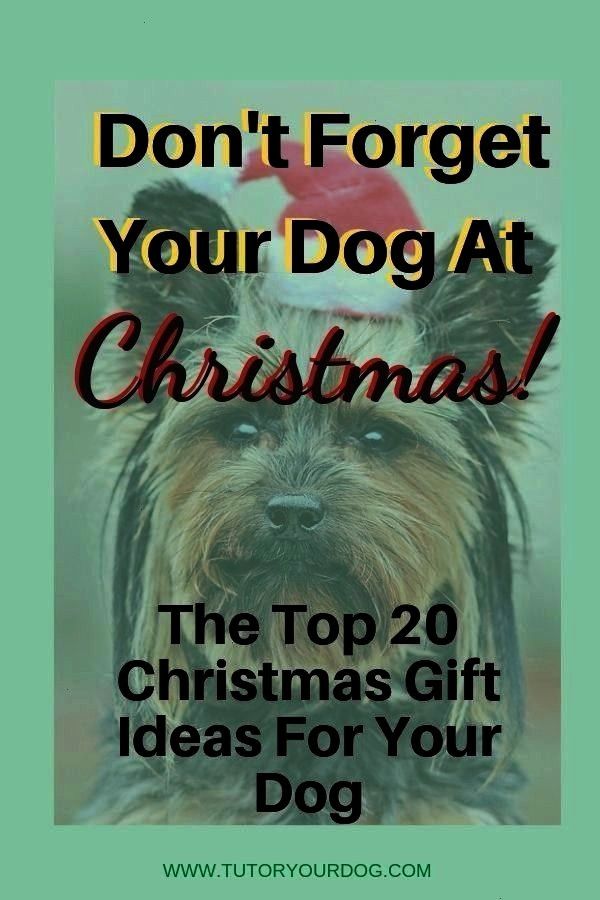 presents for wife Thoughts Yuletide is often celebrated in a number of along with exciting approach