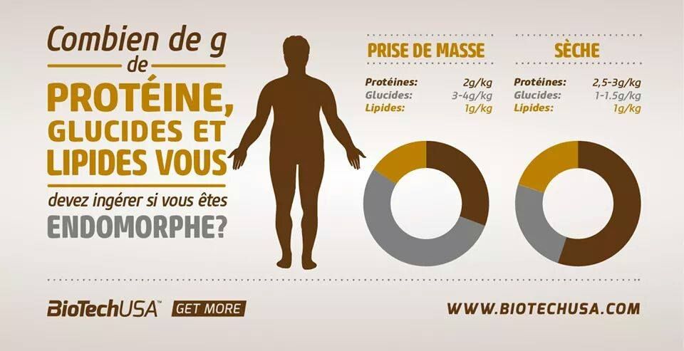 Proteine Prise De Masse Et Seche Proteine Prise De Masse Et Seche