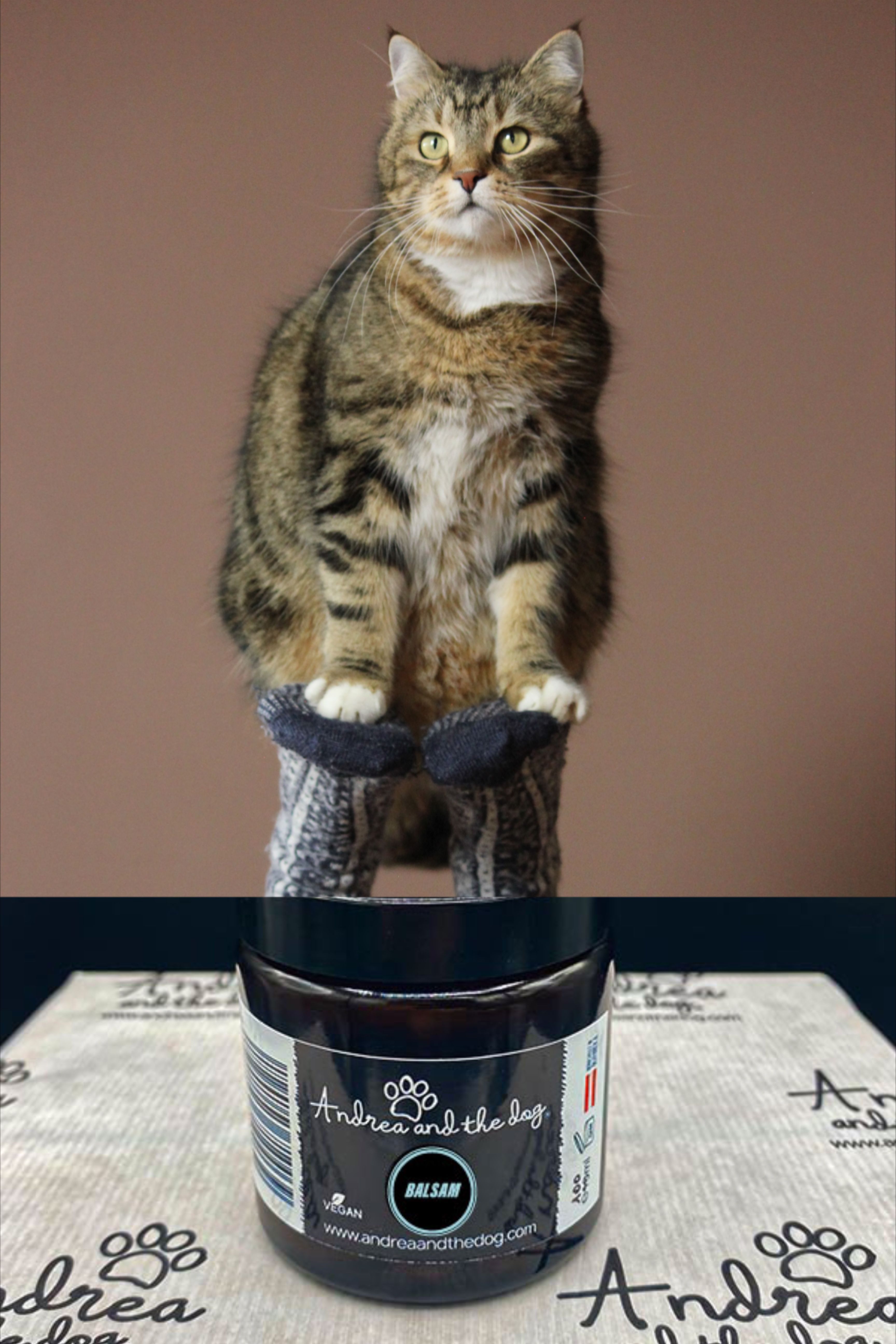 Verwöhne die Haut deiner liebsten Katzenpfoten und mache sie samtig weich….einfach einen kleinen Klecks nehmen und deinem Liebling in der Ruhephase mit dem Pfötchenbalsam die Ballen kneten. Auch für #freigänger super, da es vor den Beanspruchungen durch #streusalz schützt. Alle Inhaltsstoffe 100% Natur. #katzenliebe #pfotenpflege #naturkosmetikfürtiere #Hautpflege #balsam Andrea, Super, Dogs, Natural Skin Care, Nature, Simple, Pet Dogs, Doggies