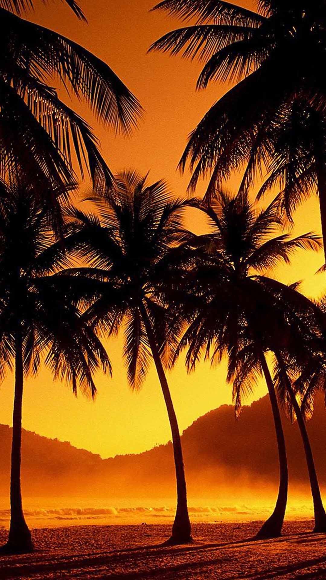 Download 5000 Wallpaper Alam Sunset HD Paling Baru Download 5000 Wallpaper Alam Sunset HD Paling Baru
