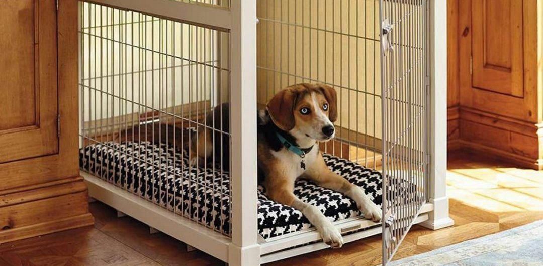Here S A Look At The Best Dog Crates Essential For Every Dog