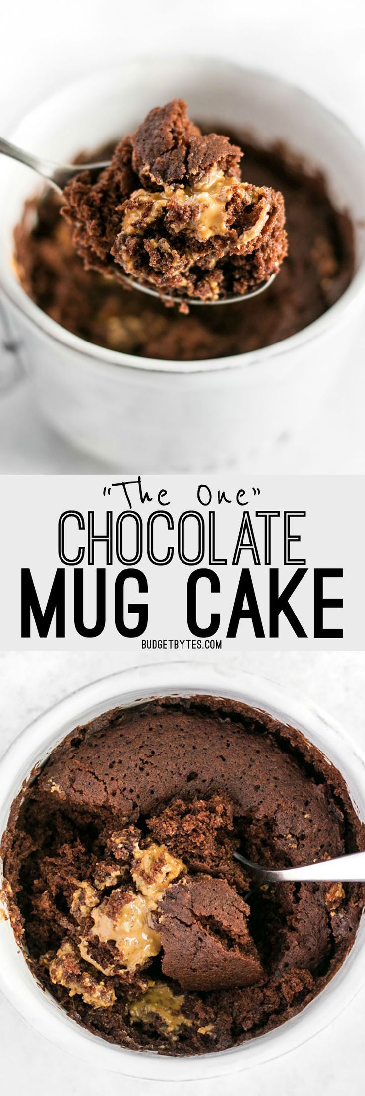 The One Chocolate Mug Cake Recipe Let Them Eat Cake Chocolate Mug Cakes Peanut Butter