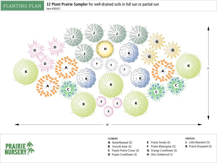 Prairie Nursery : Pre-Planned Gardens : 32 Plant Prairie Sampler ...