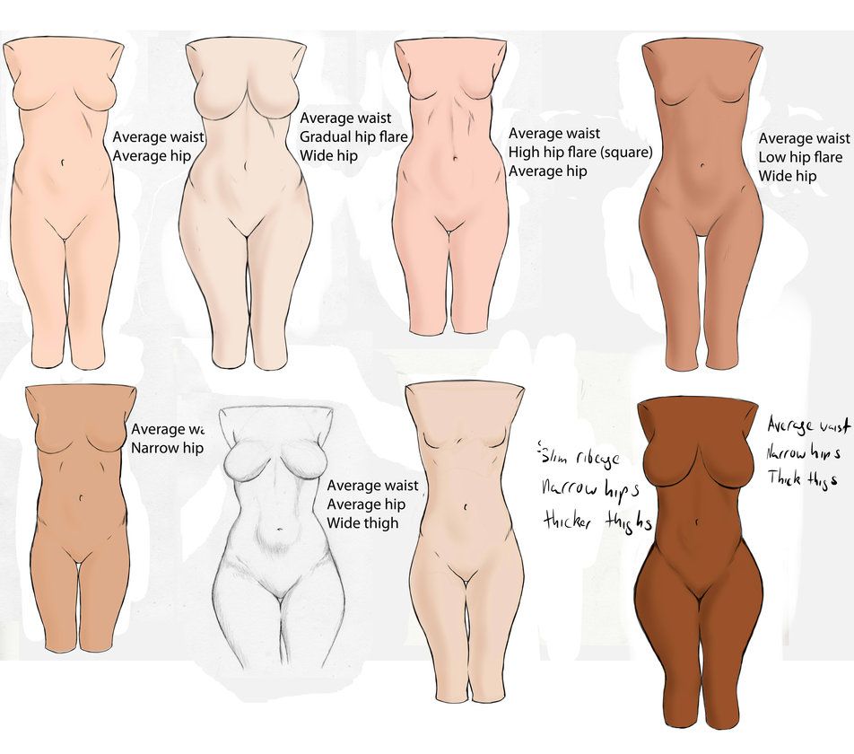 12 body shapes fantasy girl drawings and tutorials average size of female organ