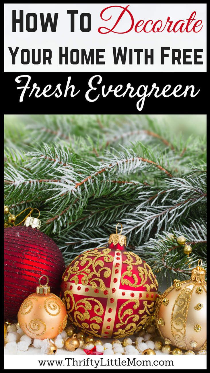 decorate like the magazines using free garland from home improvement stores evergreen decorating and holidays - Free Home Improvement Magazines decorate like the magazines using free garland from home improvement stores evergreen decorating and holidays - Free Home Improvement Magazines