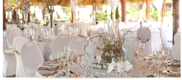 Olive Mystery In Bapsfontein 20 Min From Pretoria And Ort Airport Olive Mystery In Bapsfontein 20 Min From Pretoria And Ort Airport Shot By Alexander Smith Photography Wedding Venues Gauteng Pinterest
