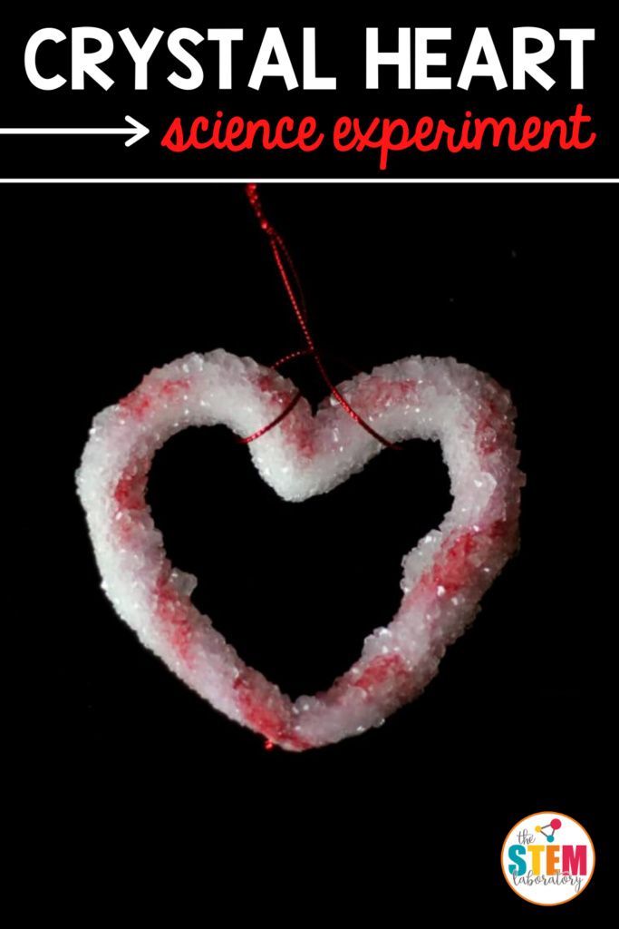 This simple Valentine’s Day crystal heart science experiment is a must-try! With just a few ingredients, kids can make a sparkly, gorgeous heart AND learn about chemistry at the same time. #valentinedayscience #crystalscience Cool Science Experiments, Science Kits, Science Lessons, Science For Kids, Science Valentines, Valentines Day Activities, Valentine Ideas, Homeschool Science, Teaching Science
