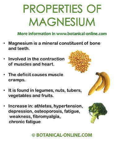 Magnesium Rich Foods List Printable Properties Of Magnesium
