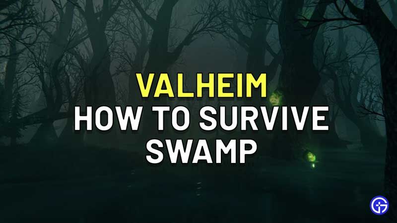 valheim swamp valheim swamp