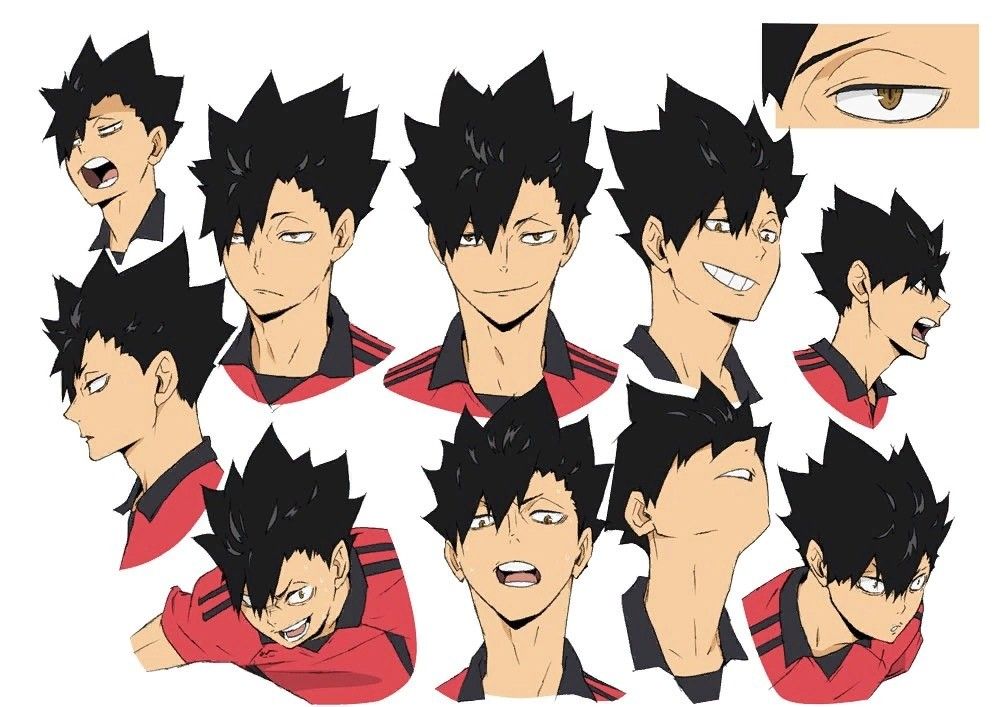 Kuroo Haikyuu, Kuroo Tetsurou, Haikyuu Fanart, Haikyuu Anime, Oikawa