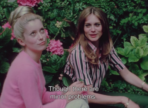 francoise dorleac actrice francoise dorleac tumblr francoise dorleac fran 231 oise francoise dorleac actrice francoise dorleac tumblr francoise dorleac fran 231 oise