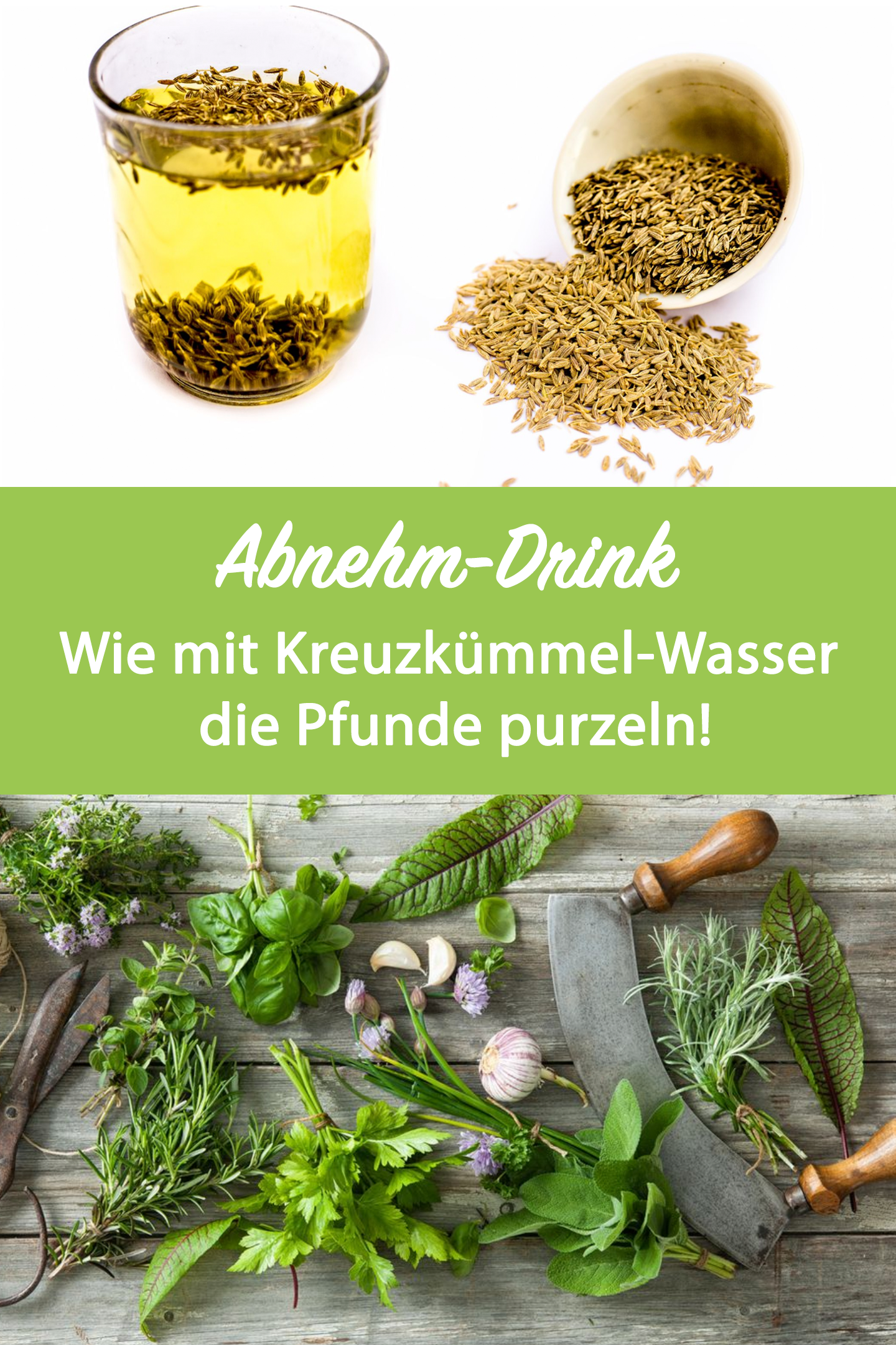 Natürliche Kräuter zur Gewichtsreduktion bei Chili Natürliche Kräuter zur Gewichtsreduktion bei Chili