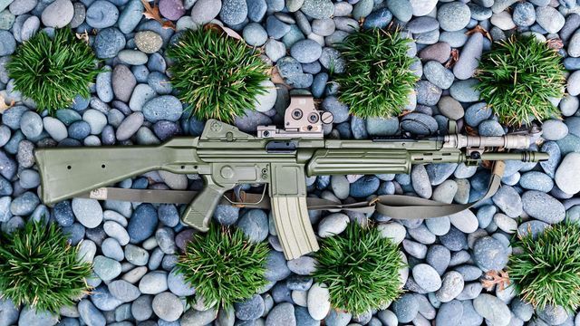 @drewcasbopkins on Instagram: "C’mon @rs_regulate, make some more Cetme L handguards #shallnotbeinfringed #donttreadonme #nosteponsnek #allgunlawsareinfringements" Shall Not Be Infringed, Battle Rifle, Dont Tread On Me, Stepping Stones, Outdoor Decor, Plants, Instagram, Home Decor, Stair Risers