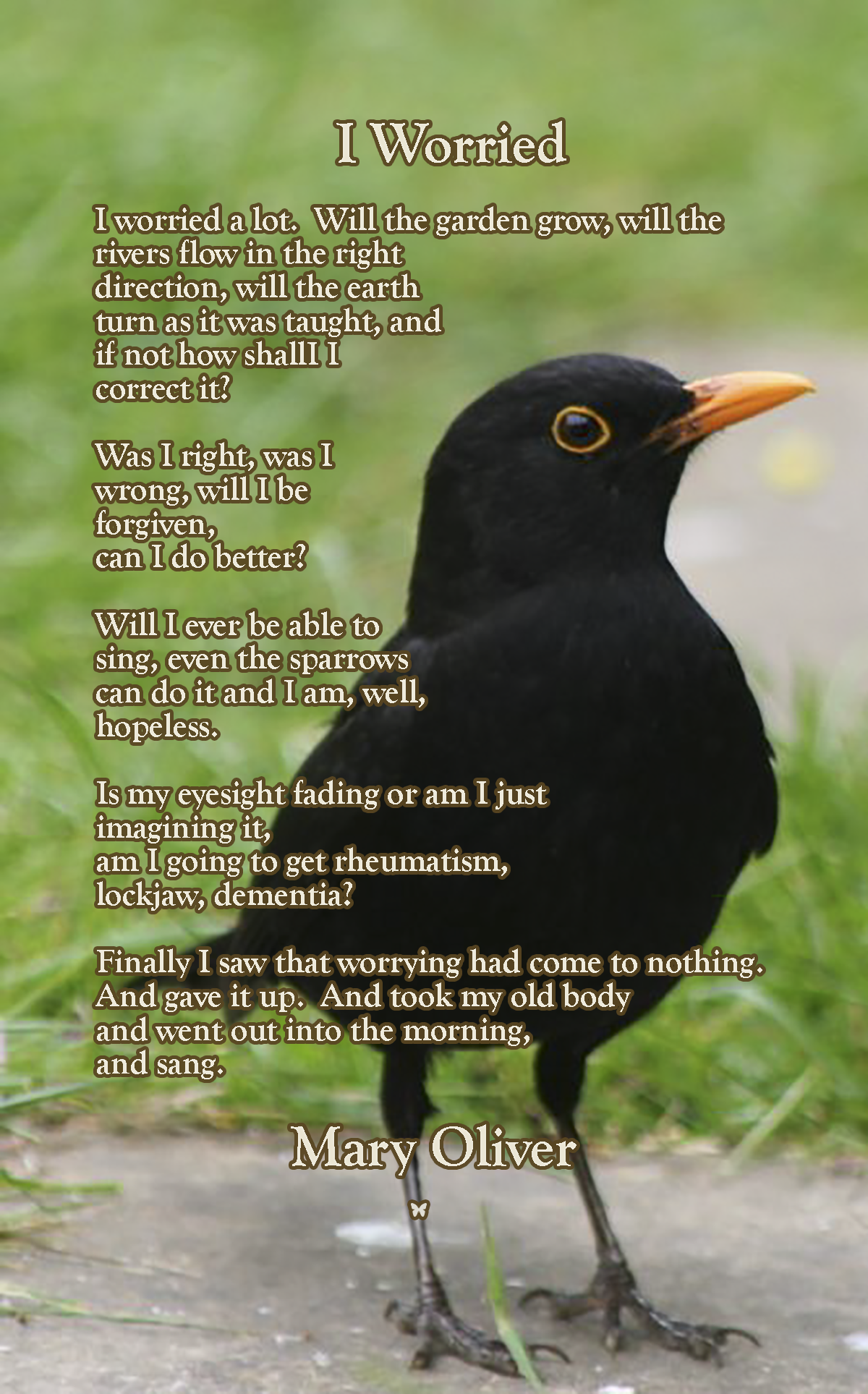 I Worried I worried a lot. Will the garden grow, will the rivers flow in the right direction, will the earth turn as it was taught, and if not how shallI I correct it? Was I right, was I wrong, will I be forgiven, can I do better? Will I ever be able to sing, even the sparrows can do it and I am, well, hopeless. Is my eyesight fading or am I just imagining it, am I going to get rheumatism, lockjaw, dementia? ❤︎ Mary Oliver Healing Thoughts, Mary Oliver, Sparrows, Dementia, Things To Know, Teachings, Writing Prompts, Rivers, Buddhist