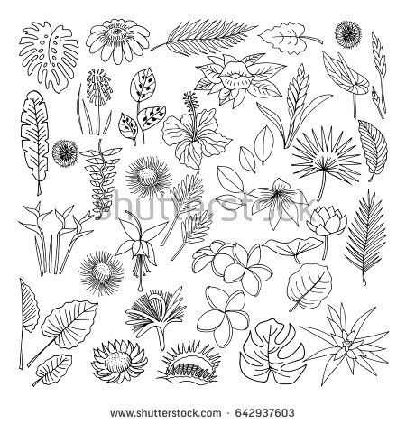 Easy To Draw Hawaiian Flowers Easy Flower Drawings Hawaiian