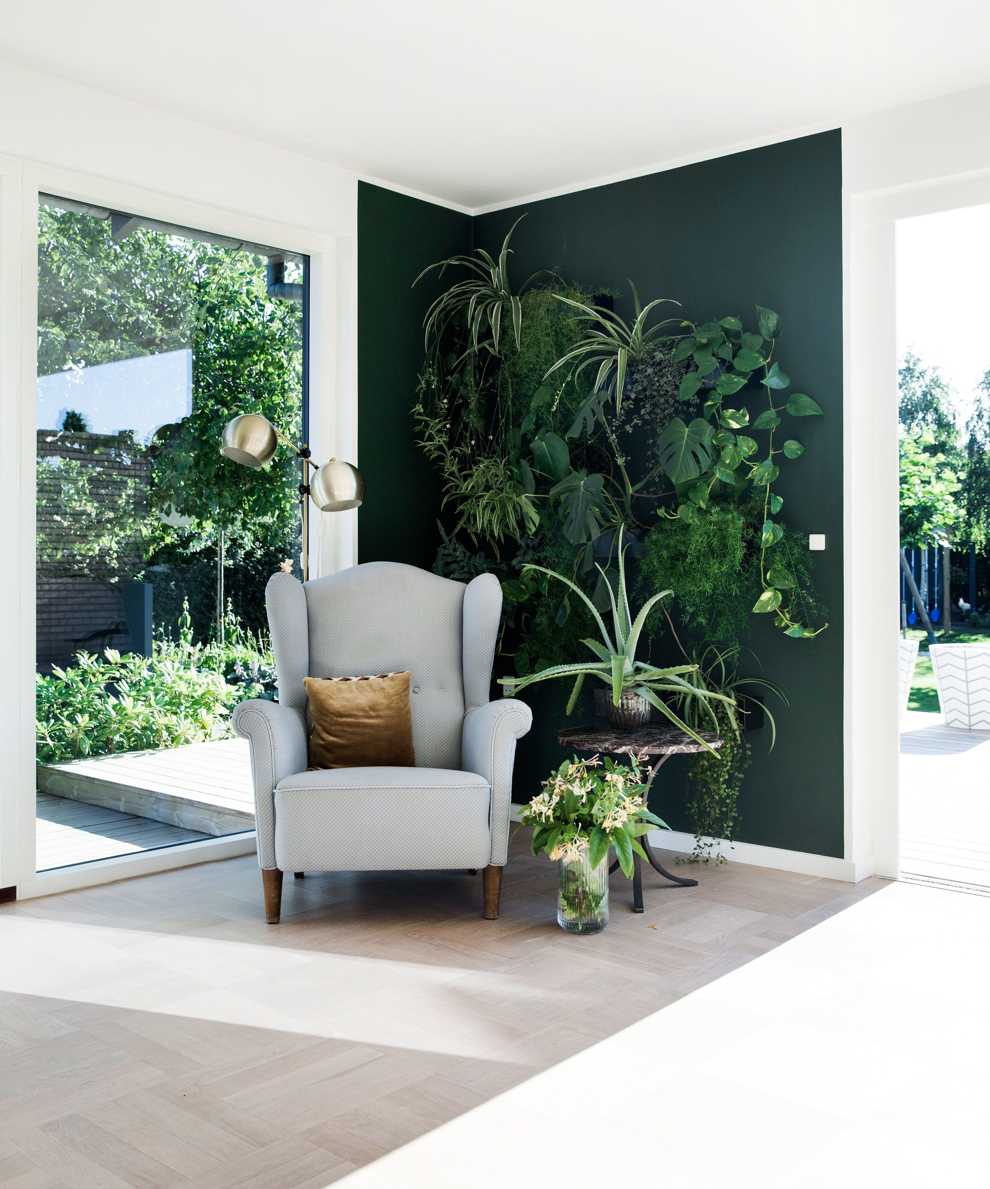 Ambiente Com Parede Verde E Plantas Ambiente Com Parede Verde E Plantas