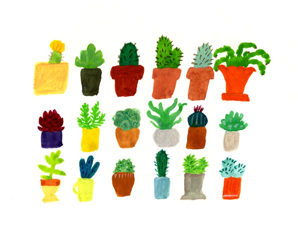 Cacti Emmy Reis サボテン Cacti Emmy Reis サボテン