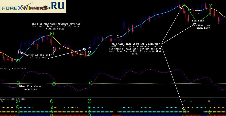 Buy Sell Indicators Forex Trading Intraday Trading Forex