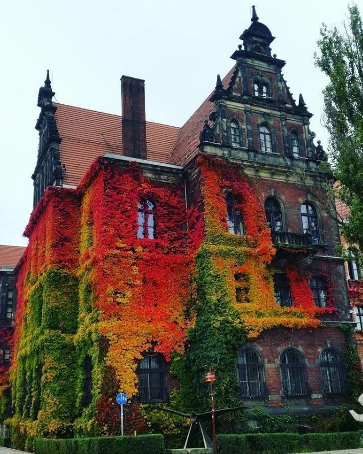 Фото © reddit.com/hn_ns Pretty Places, Beautiful Places, Beautiful Pictures, Beautiful Scenery, Beautiful Landscapes, Wroclaw, Beautiful Architecture, Beautiful Buildings, Russian Architecture