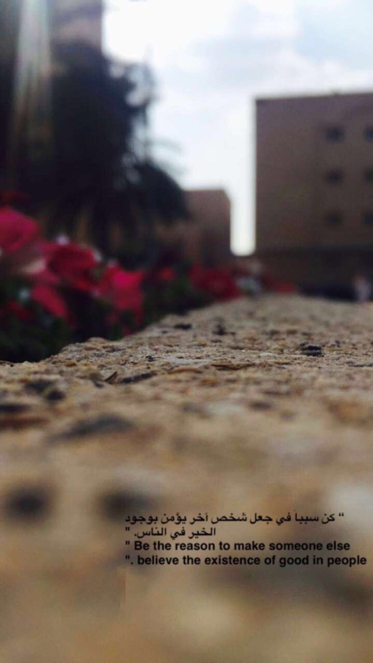 Pin By Malak On سناب موضي البليهد Flower Background Iphone Beautiful Nature Pictures Islamic Quotes Wallpaper
