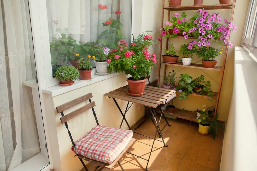 Ecco come fare un orto sul balcone, una mini oasi green