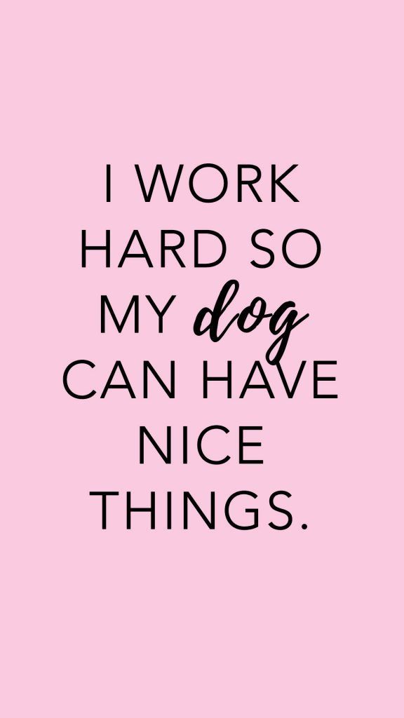 Finds Freebies Hey Djangles Dog Mom Quotes Dog Quotes Dog finds-freebies-hey-djangles-dog-mom-quotes-dog-quotes-dog