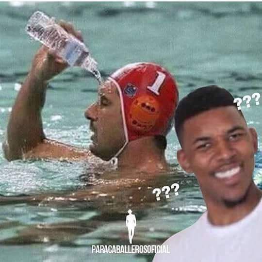 Why Do Cats Like Chlorine Why Do Cats Like Chlorine
