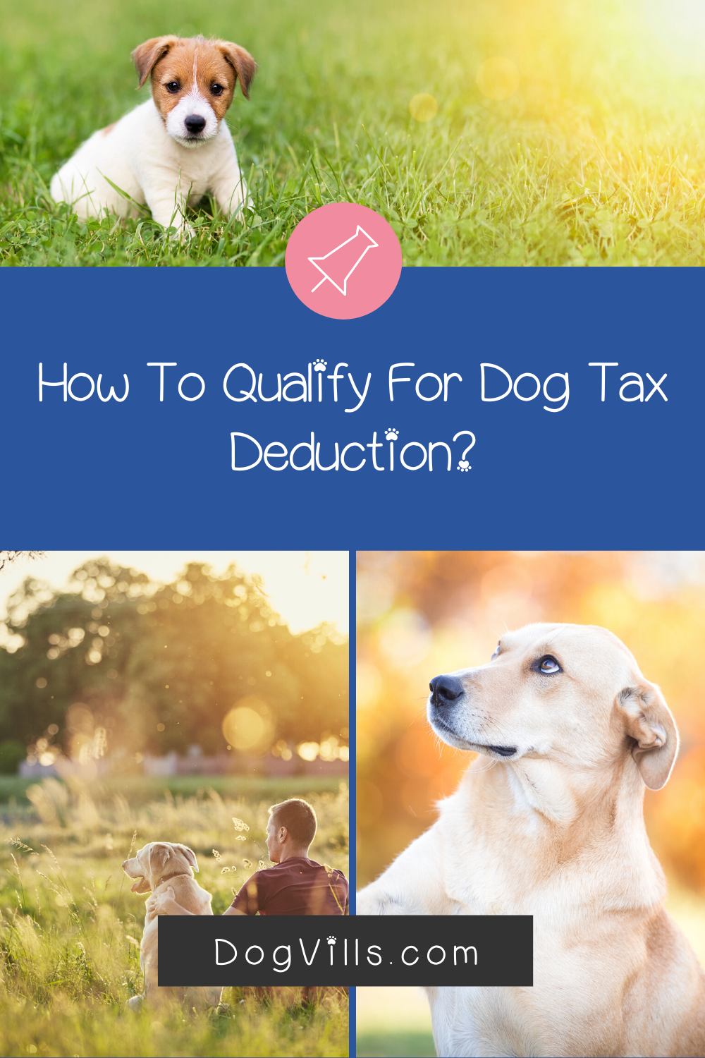 5 Dog Tax Deductions You Might Qualify For Dogs, Dog adoption quotes