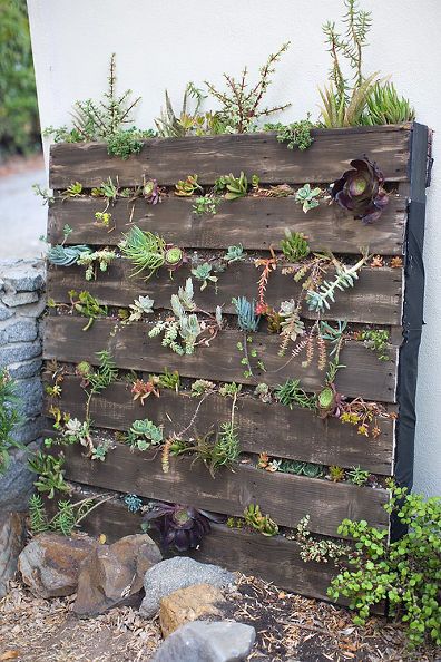 Pallet Vertical Succulent Garden Pallet Vertical Succulent Garden
