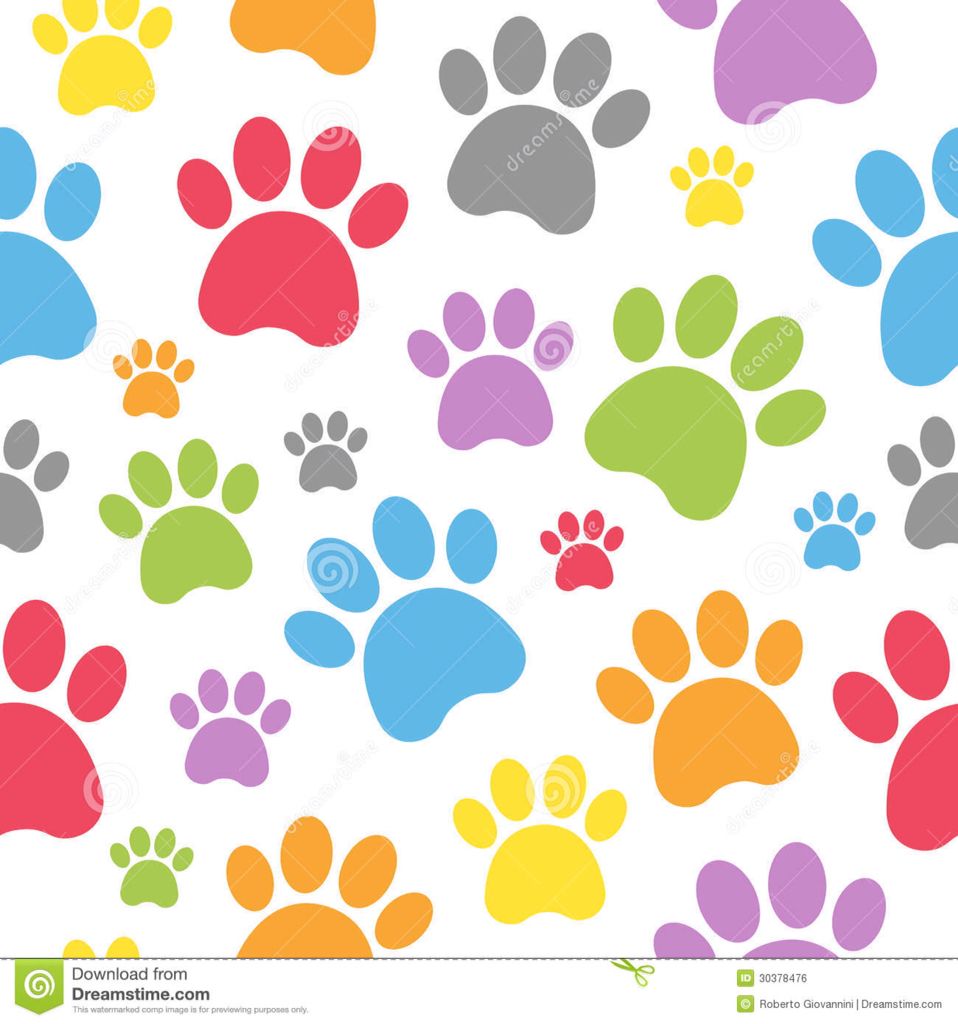 Huellas De Colores Arte Con Huella De Pata Huellas De Perro Huellas De Gato