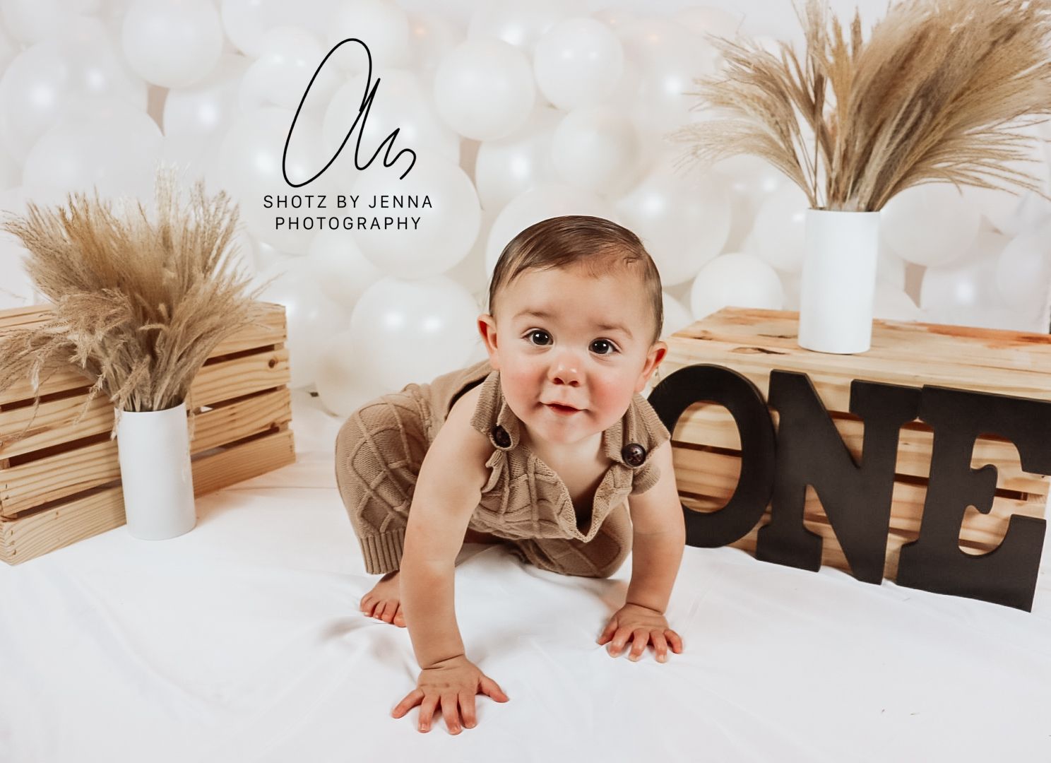 Neutral color 1st Birthday Session | Neutral colors, Birthday theme ...