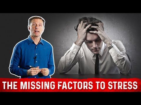 Nutritional Deficiencies That Cause Stress Palmer College Of Chiropractic, Doctor Of Chiropractic, Dr Eric Berg, Dr Berg, Health Info, Health And Wellness, Mental Health, High Cortisol
