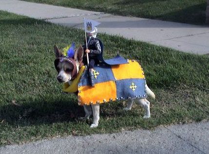 Dog Costume As A Knight Riding This Fine Dog As His Steed Cute