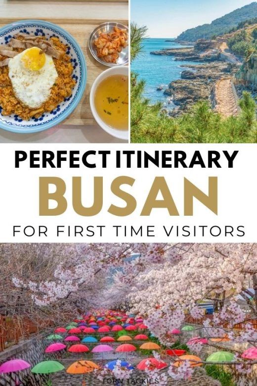The perfect busan itinerary how to spend 3 days in busan 2022 Artofit