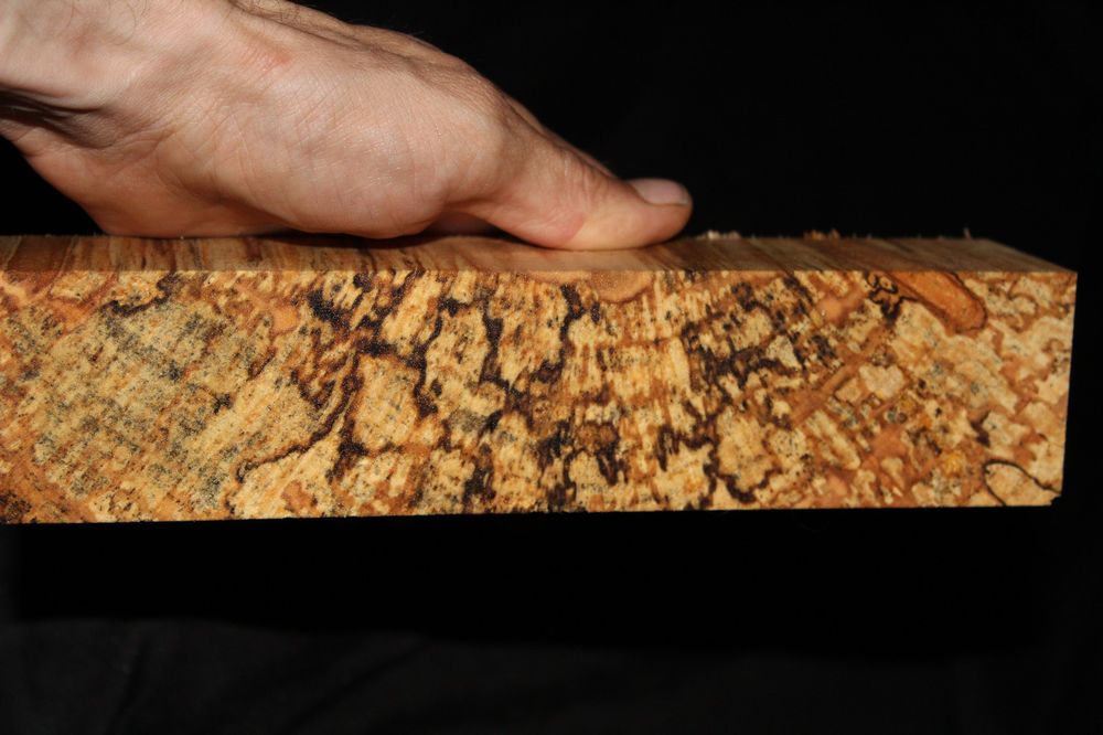 spalted ambrosia maple spalted ambrosia maple