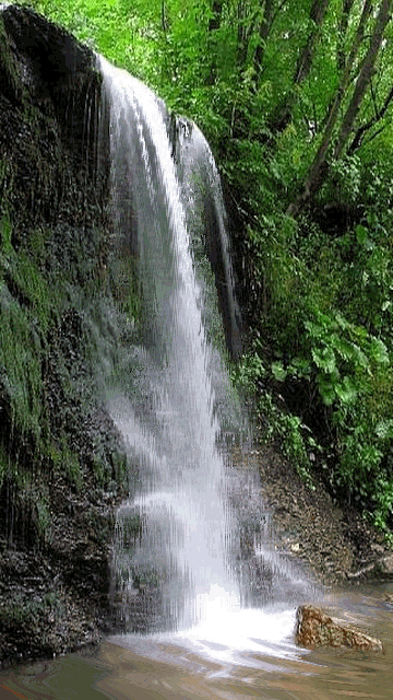 Image result for gif Spring waterfalls gif