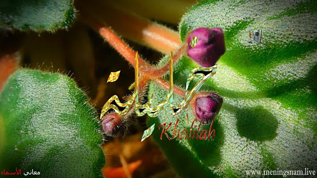 معنى اسم خليلة وصفات حاملة هذا الاسم Khalilah Vegetables Stuffed Peppers Food